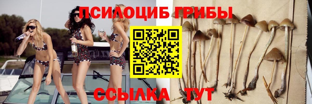 Лиски  Псилоцибиновые грибы ЛСД  Вход с VPN 